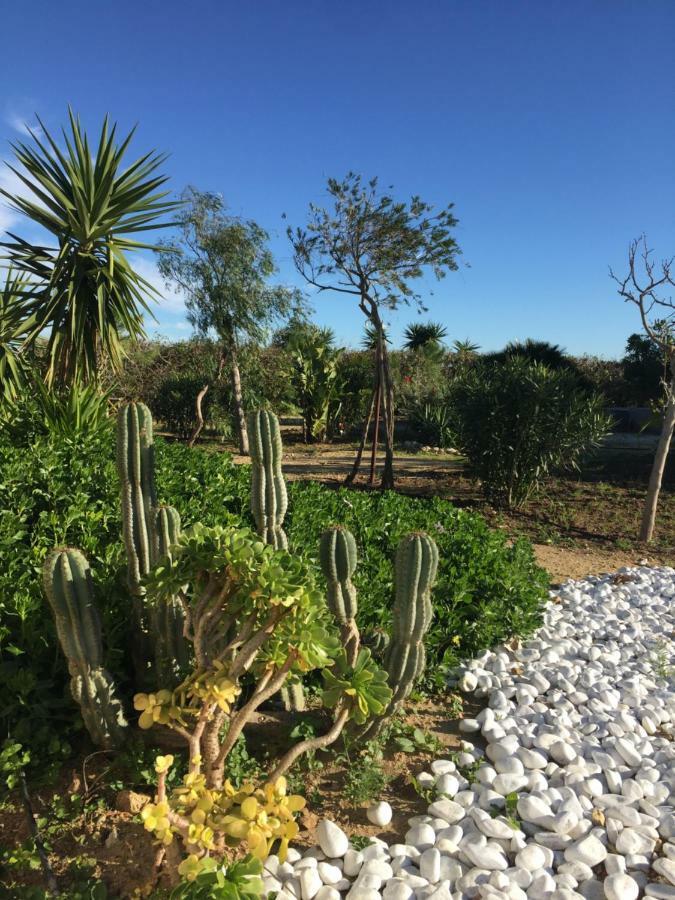 Апартаменти Finca Du Ressourcement Higueron Вехер-де-ла-Фронтера Екстер'єр фото