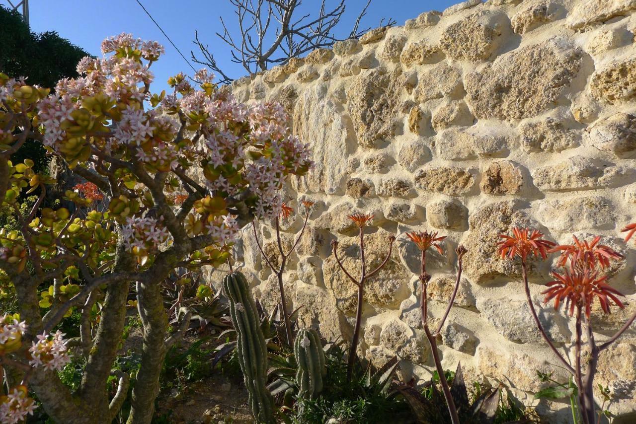 Апартаменти Finca Du Ressourcement Higueron Вехер-де-ла-Фронтера Екстер'єр фото